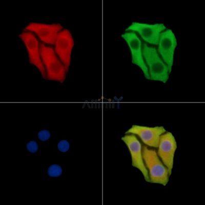 Валидация Affinity DF14668 - 10714