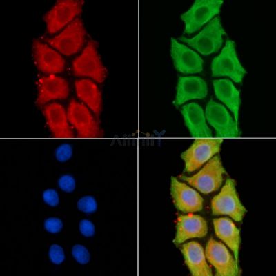 Валидация Affinity DF8611 - 20534