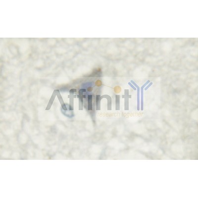 Валидация Affinity AF6406 - 3700