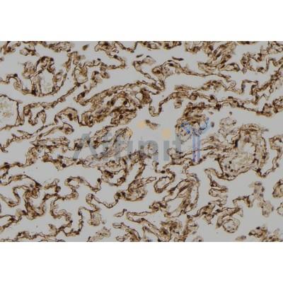 Валидация Affinity DF2236 - 12776