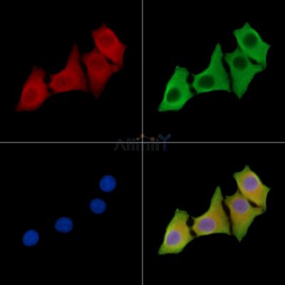 Валидация Affinity DF14289 - 10166