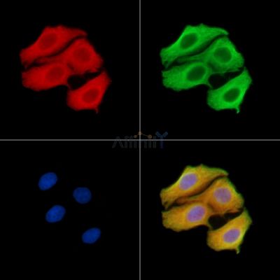 Валидация Affinity DF14079 - 9866