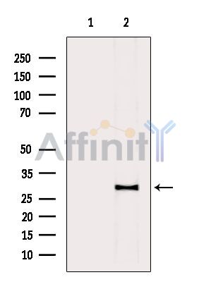 Валидация Affinity DF9572 - 22252