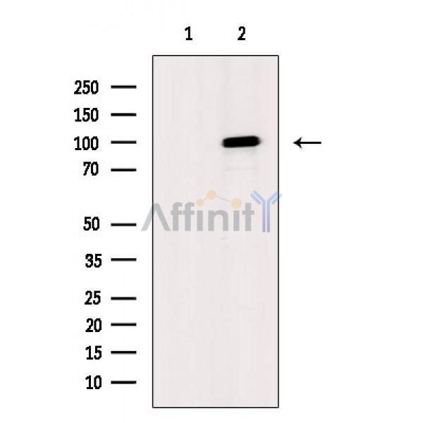Валидация Affinity AF6711 - 3967