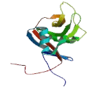Receptor II For The Fc Region Of Immunoglobulin E (FceRII) Receptor II For The Fc Region Of Immunoglobulin E (FceRII)