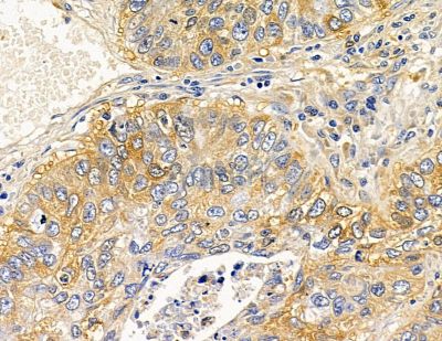 Валидация Affinity DF13922 - 9667