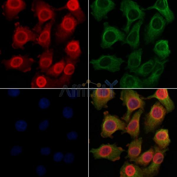 Валидация Affinity DF6090 - 17306