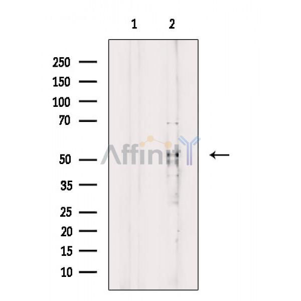 Валидация Affinity DF8361 - 20222