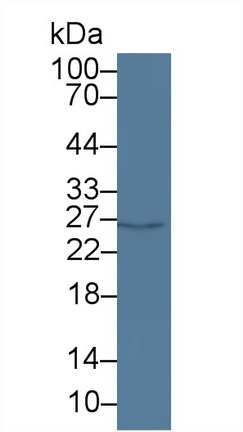 9375
