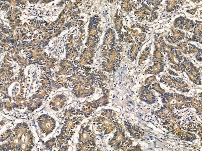 Валидация Affinity DF16082 - 12647