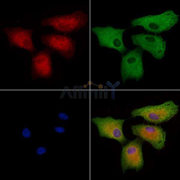 Валидация Affinity DF7166 - 18816