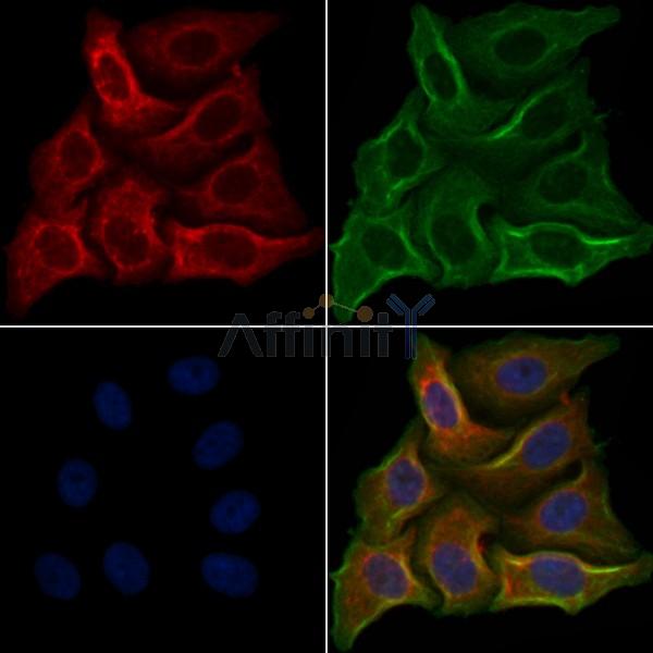 Валидация Affinity DF5166 - 17135