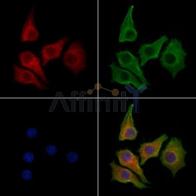 Валидация Affinity DF13023 - 7834