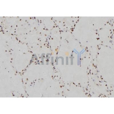 Валидация Affinity AF6438 - 3748