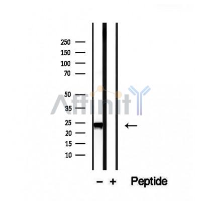 Валидация Affinity DF12460 - 7002