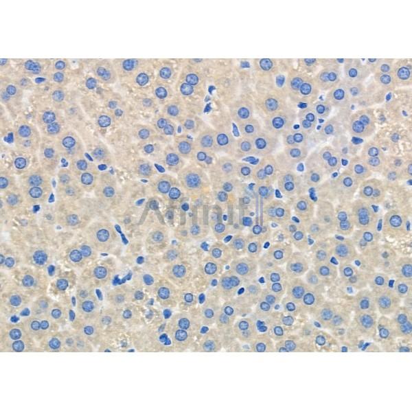 Валидация Affinity DF10197 - 5752