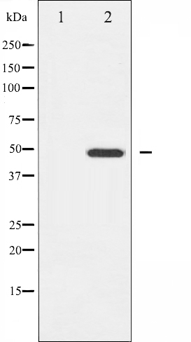 Валидация Affinity AF6317 - 3590