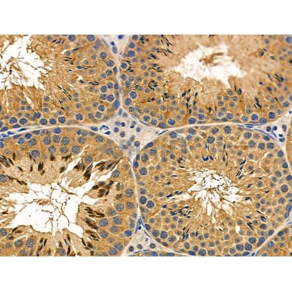 Валидация Affinity DF4996 - 16854