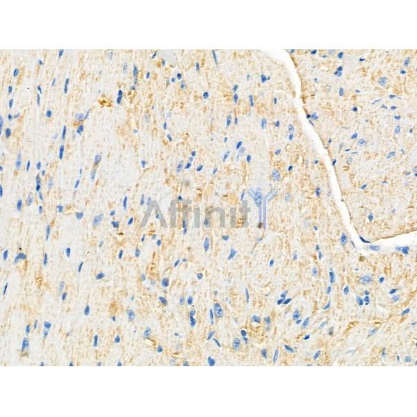 Валидация Affinity AF5239 - 2724