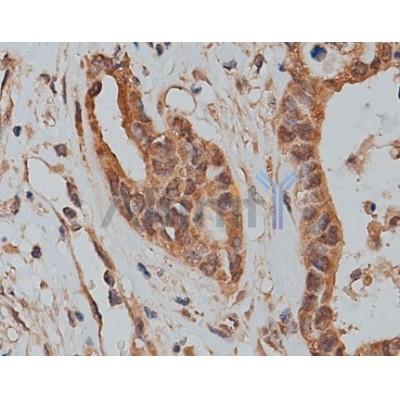 Валидация Affinity DF12476 - 7032