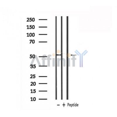 Валидация Affinity DF6059 - 17269