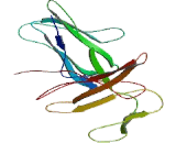 Leukocyte Immunoglobulin Like Receptor Subfamily A, Member 2 (LILRA2) Leukocyte Immunoglobulin Like Receptor Subfamily A, Member 2 (LILRA2)