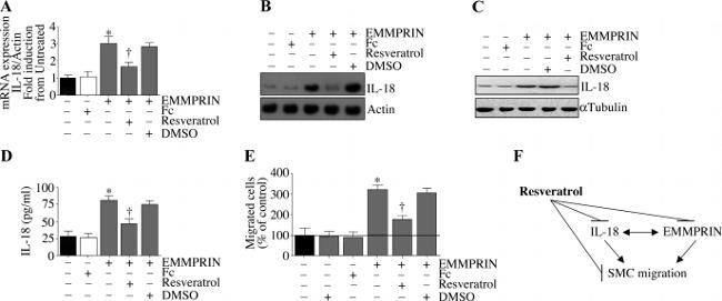 Валидация AssayVector ARM1321(867)