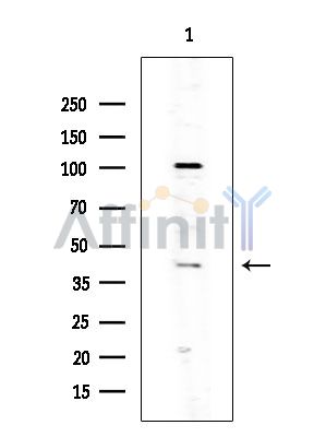 Валидация Affinity DF5182 - 17161