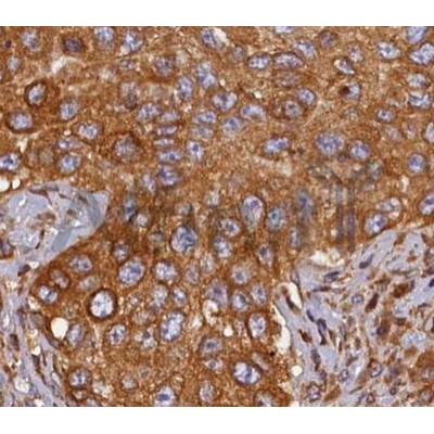 Валидация Affinity AF5143 - 2538