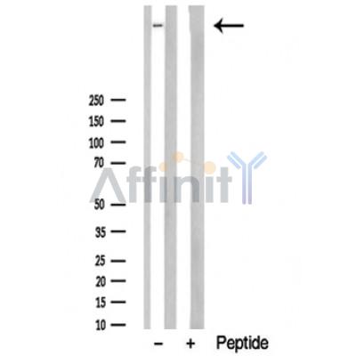 Валидация Affinity DF10323 - 5944