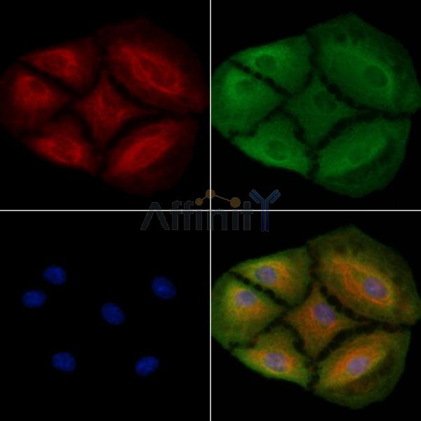 Валидация Affinity DF8726 - 20740