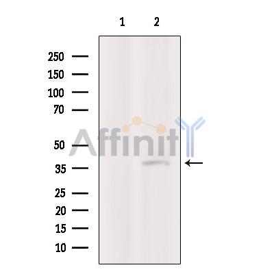 Валидация Affinity DF10204 - 5759