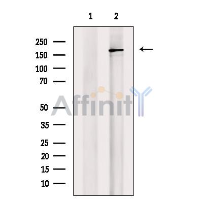 Валидация Affinity DF7842 - 19656