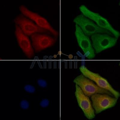 Валидация Affinity DF13427 - 8738