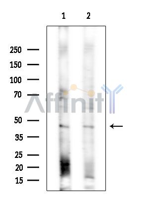 Валидация Affinity DF14518 - 10501