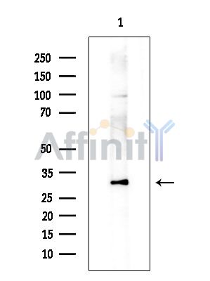 Валидация Affinity DF14492 - 10474