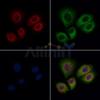 Валидация Affinity DF6628 - 18095