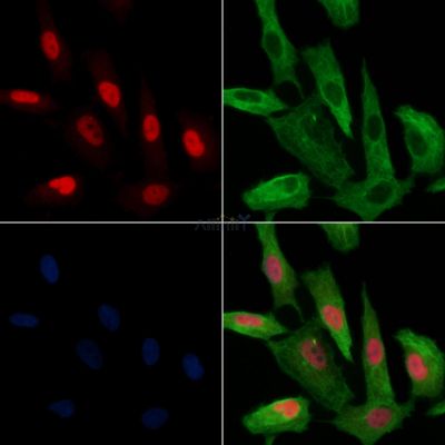 Валидация Affinity AF3470 - 1989