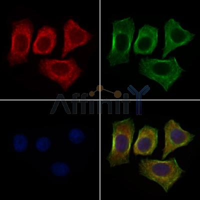 Валидация Affinity DF10058 - 5528