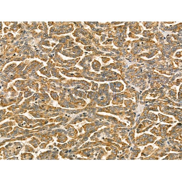 Валидация Affinity DF13273 - 8373