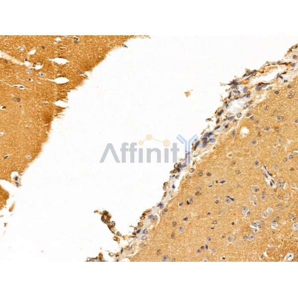 Валидация Affinity DF13578 - 9047