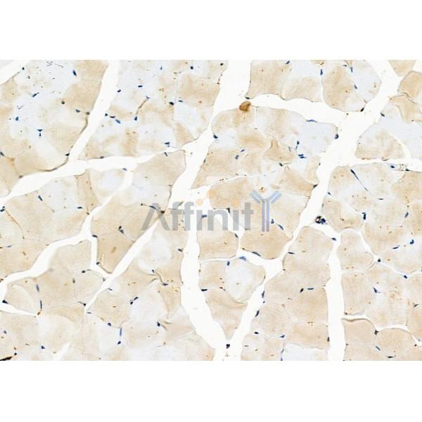 Валидация Affinity DF2642 - 13331