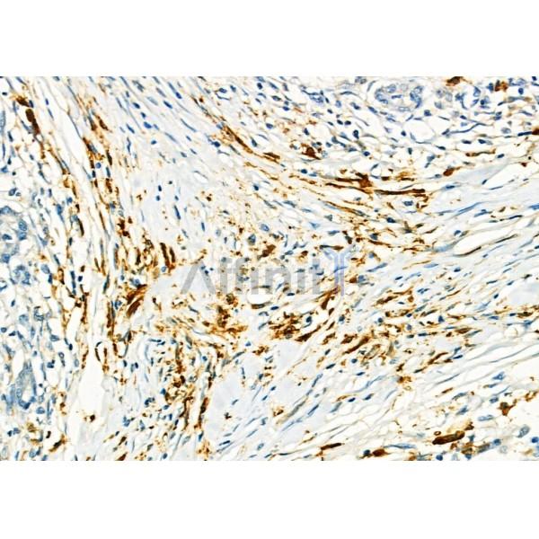 Валидация Affinity DF4504 - 16059