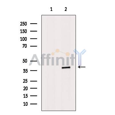 Валидация Affinity DF6620 - 18079