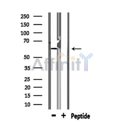 Валидация Affinity DF6897 - 18492