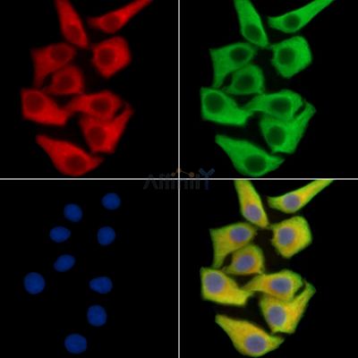 Валидация Affinity DF15242 - 11513