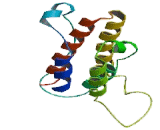 Interferon Omega (IFNw) Interferon Omega (IFNw)