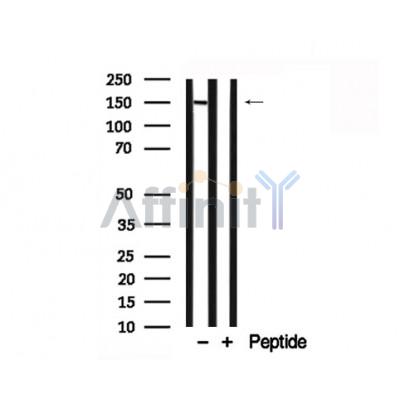 Валидация Affinity AF7761 - 4466