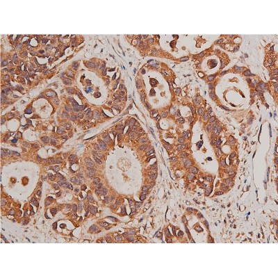 Валидация Affinity AF5210 - 2670