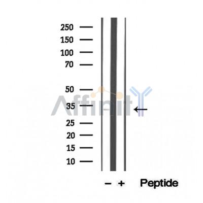 Валидация Affinity DF12324 - 6725